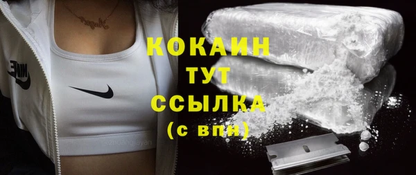 каннабис Корсаков