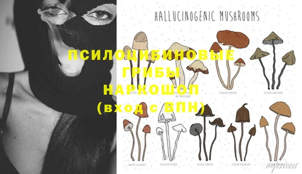 каннабис Корсаков