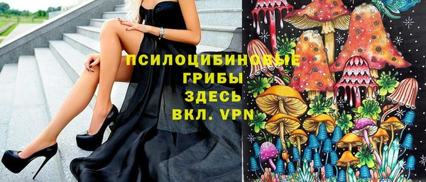 каннабис Корсаков